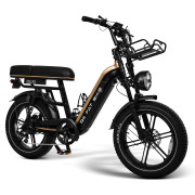 Bicicleta Elétrica 1000W Q9 48V 15Ah Até 75km